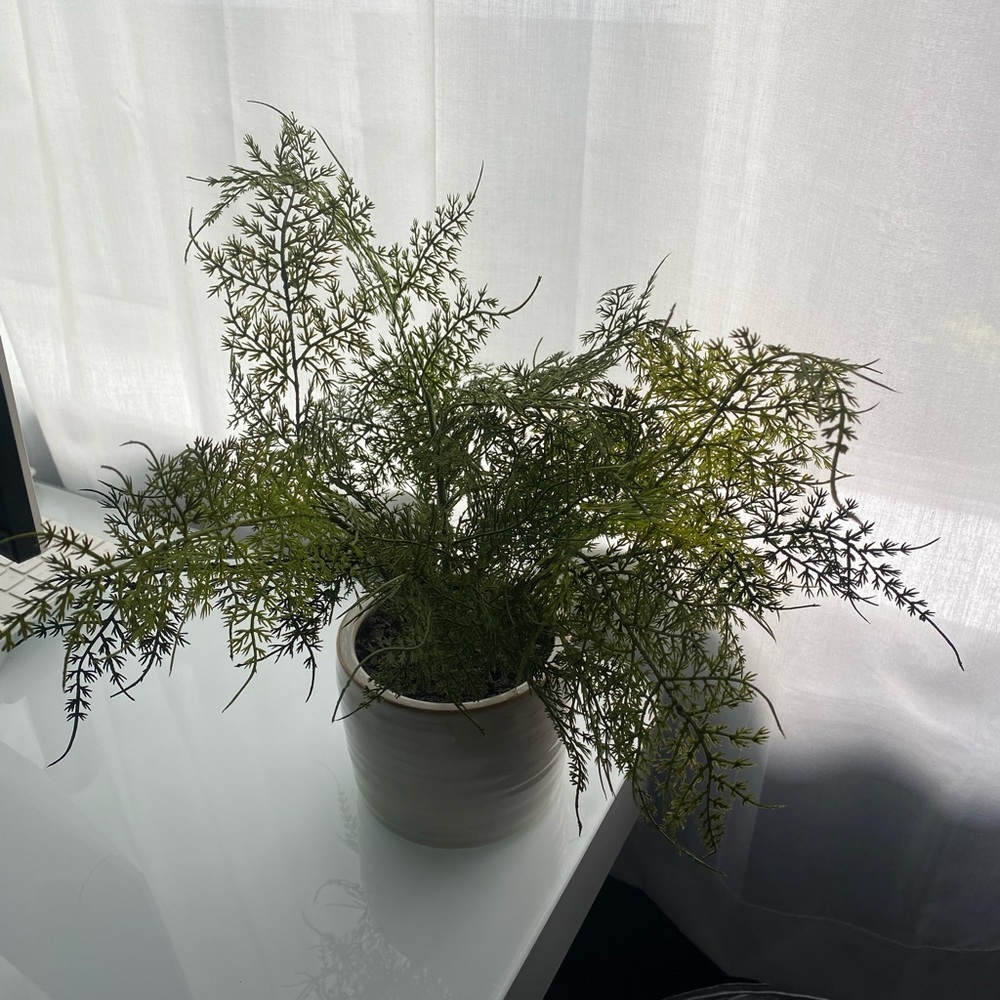 Threshold x Studio McGee Tabletop Faux Greenery